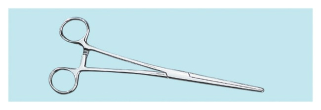 Epredia&amp;trade;&amp;nbsp;Forceps hémostatique droit de Rochester-Oschner Shandon&amp;trade;