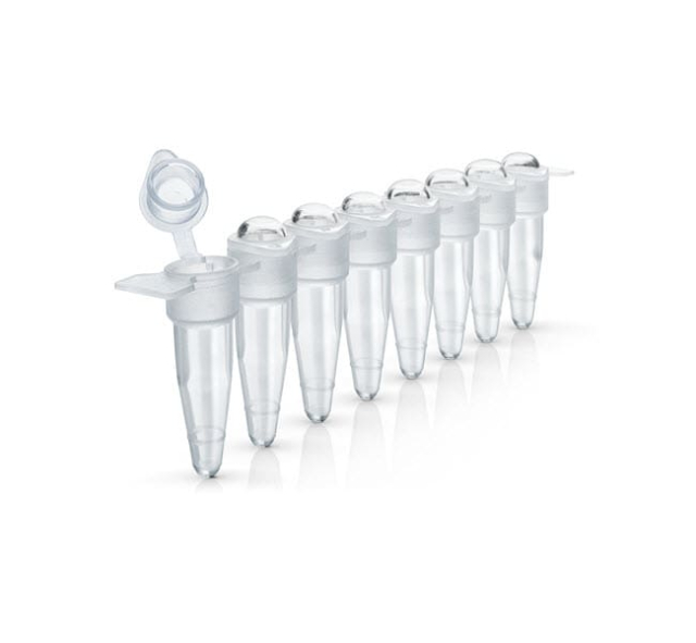 Applied Biosystems&amp;trade;&amp;nbsp;MicroAmp&amp;trade; 8-Tube Strip with Attached Domed Caps, 0.2 mL