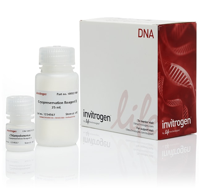 Invitrogen&trade;&nbsp;GeneArt&trade; Cryopreservation Kit for Algae