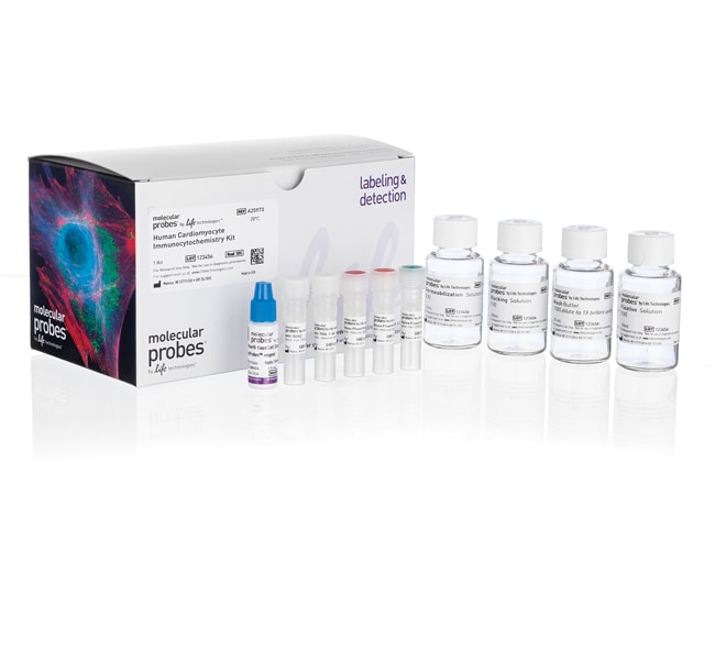 Molecular Probes&trade;&nbsp;Human Cardiomyocyte Immunocytochemistry Kit