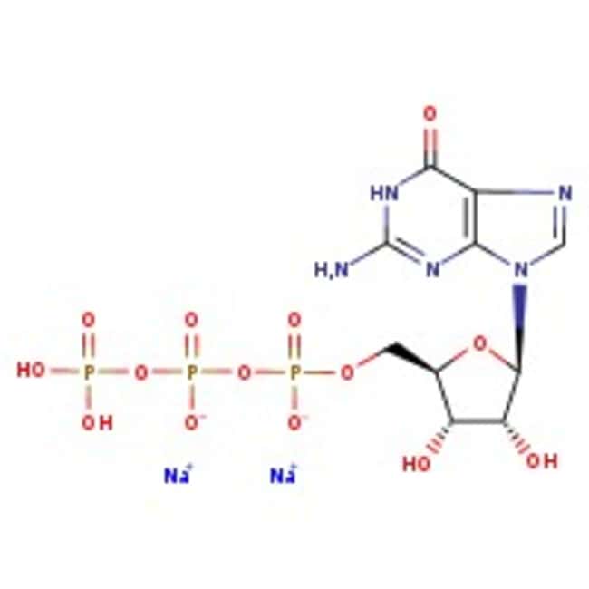 Thermo Scientific Chemicals Sel disodique de la guanosine-5’-triphosphate