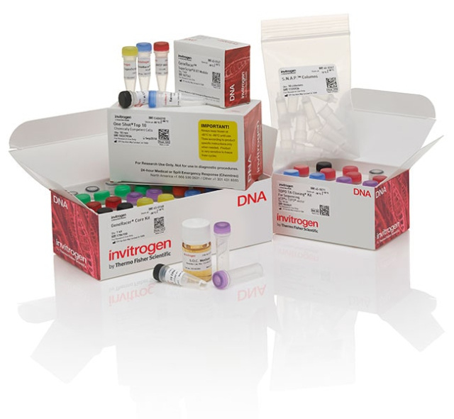 Invitrogen&amp;trade;&amp;nbsp;GeneRacer&amp;trade; Kit with SuperScript&amp;trade; III RT and TOPO TA Cloning&amp;trade; Kit for Sequencing