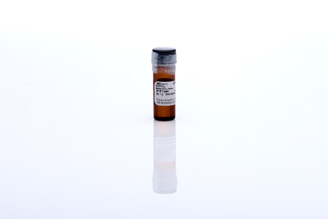 Thermo Scientific™ MA(PEG)4 Methyl-PEG-Amine Compound