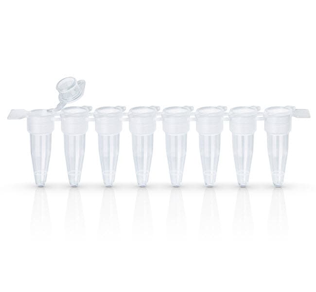 Thermo Scientific™ EasyStrip™ Plus Tube Strip with Attached Flat Caps, Sustain™ Series