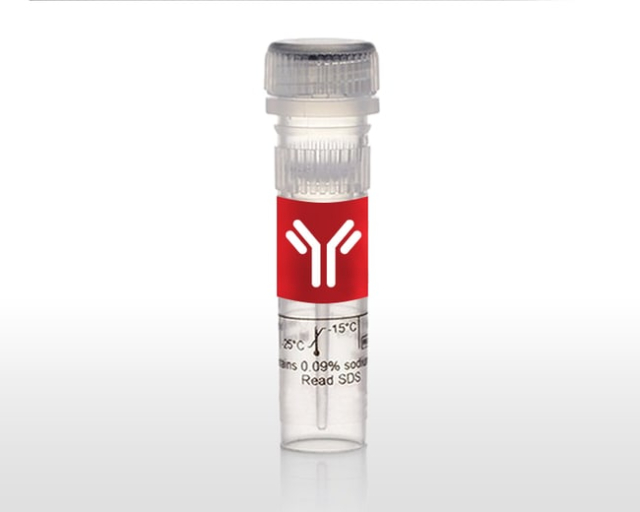 Invitrogen&trade;&nbsp;Human CABP7 Synthetic Peptide