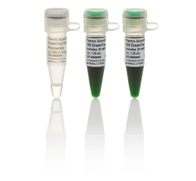 DreamTaq&amp;nbsp;DreamTaq&amp;trade; Hot Start Green DNA Polymerase