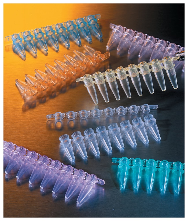 Corning&trade;&nbsp;Barrettes de tubes à 8 puits en polypropylène Thermowell&trade; GOLD