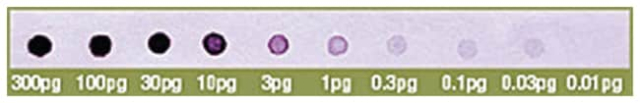 Thermo Scientific&amp;trade;&amp;nbsp;Biotin DecaLabel DNA Labeling Kit