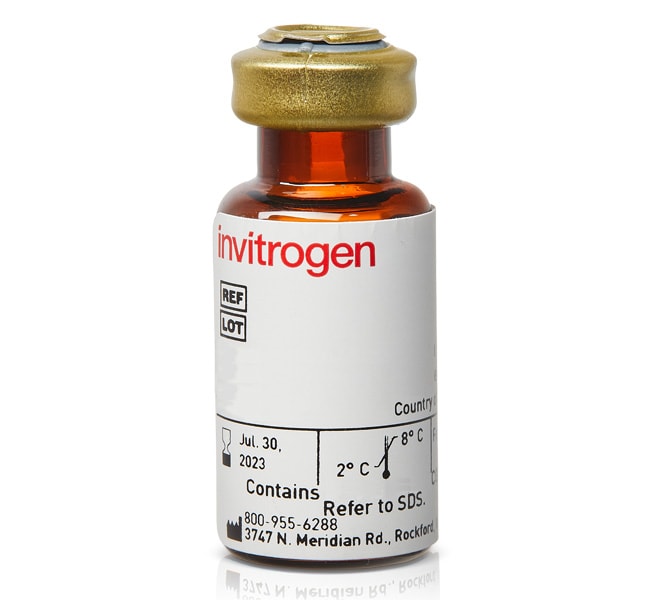 Invitrogen&trade;&nbsp;Biotin-HRP (biotinylated peroxidase)