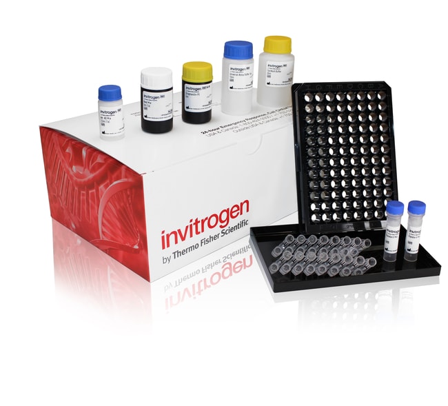 Invitrogen™ MAPK Pathway Panel (phospho), 6plex