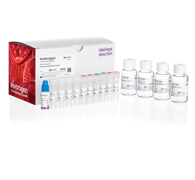 Molecular Probes&trade;&nbsp;Pluripotent Stem Cell 4-Marker Immunocytochemistry Kit