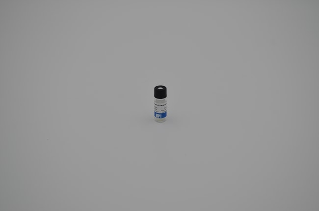 MP Biomedicals&trade;&nbsp;Pénétratin&trade; activé