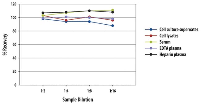 R&amp;D Systems&trade;&nbsp;Kit ELISA Quantikine IL-1 beta/IL-1F2 de souris