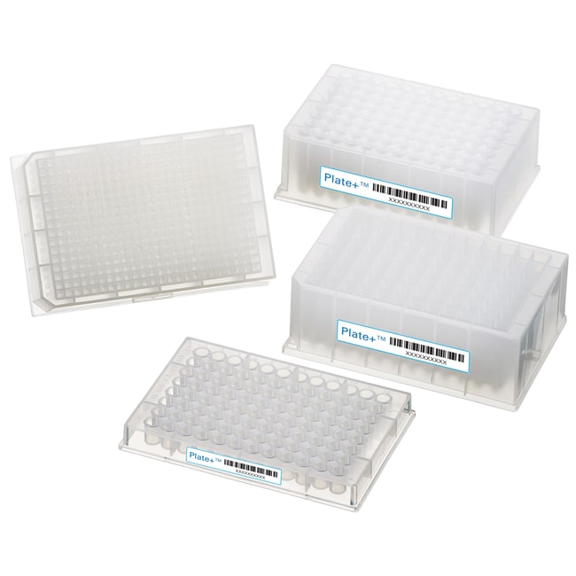 Thermo Scientific™ Microplaque à 96 puits, 1,6 ml, carrés de diamètre 8 mm, fond en forme de U ; 10/boîte