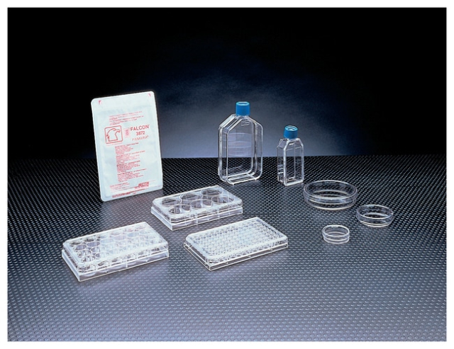 Corning&amp;trade;&amp;nbsp;Plaques pour culture cellulaire Primaria&amp;trade; Cell Culture Multiwell&amp;trade;