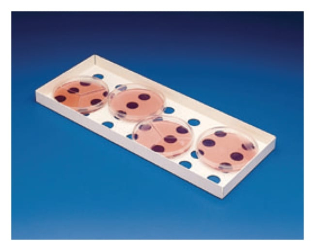 Bel-Art&amp;trade;&amp;nbsp;Plateaux d’incubation pour boîtes de Petri SP Scienceware&amp;trade;