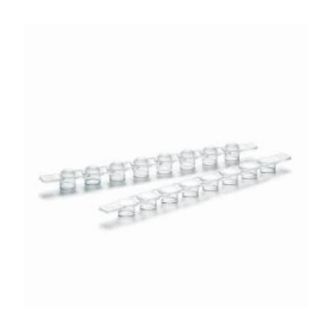 Eppendorf&trade;&nbsp;Bandes de capuchon PCR, plates
