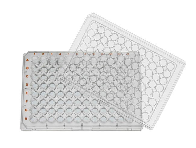 BRAND&trade;&nbsp;Microplaque à fond plat à 96 puits, traitée par cellGrade plus, BRAND<i>plates</i> cellGrade&trade;