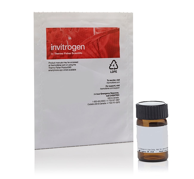 Invitrogen&trade;&nbsp;Dexamethasone Fluorescein