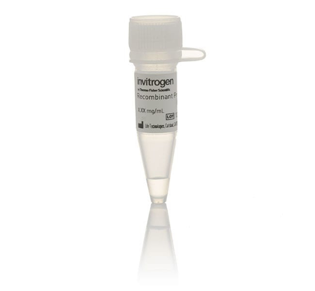 Invitrogen&trade;&nbsp;Human lys-Plasmin Native Protein