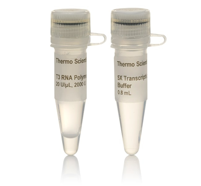 Thermo Scientific&amp;trade;&amp;nbsp;T3 RNA Polymerase (20 U/&amp;mu;L)