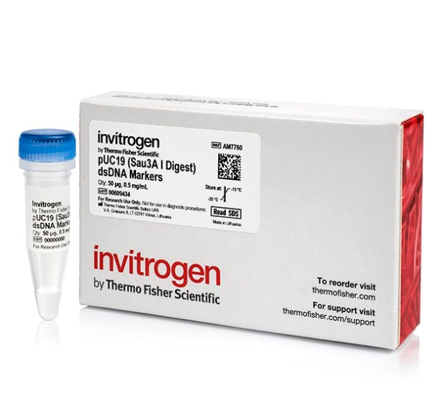 Invitrogen&amp;trade;&amp;nbsp;pUC19 DNA (Sau3A I digested)