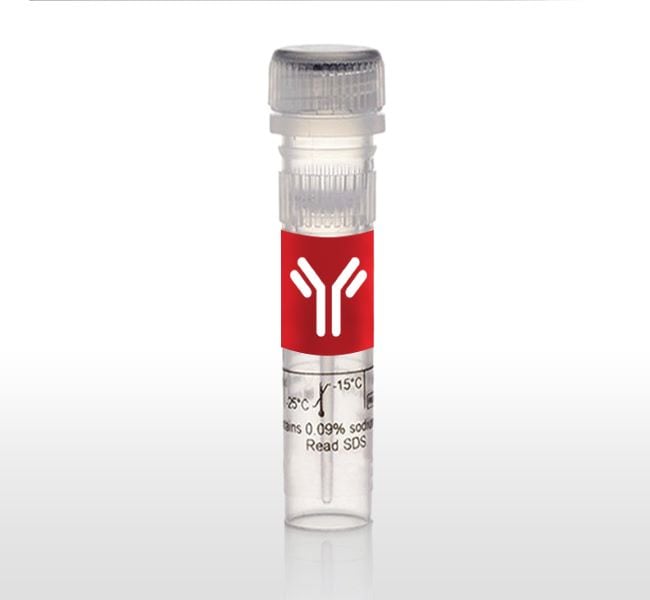 Gibco&trade;&nbsp;Mouse EGF Native Protein