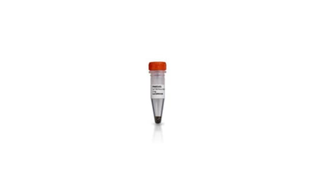 Cytiva&nbsp;Mono-réactif aux esters NHS CyDye Cy3B