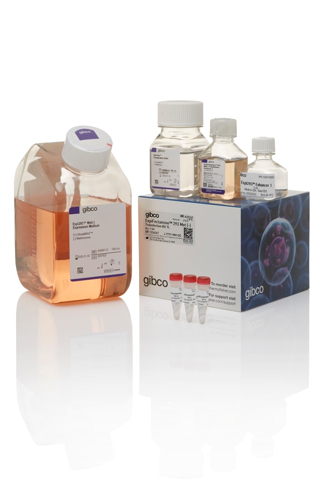 Gibco&trade;&nbsp;Expi293&trade; Met (&ndash;) Kit d’étiquetage de protéines