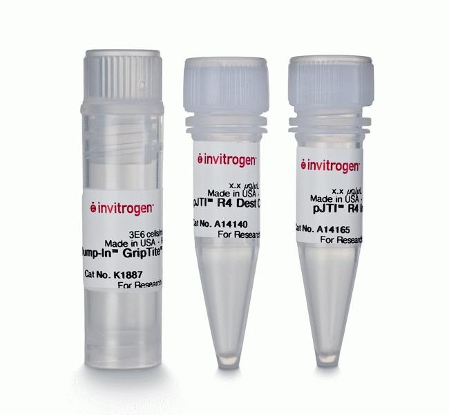 Thermo Scientific&trade;&nbsp;Jump-In&trade; GripTite&trade; HEK 293 Kit