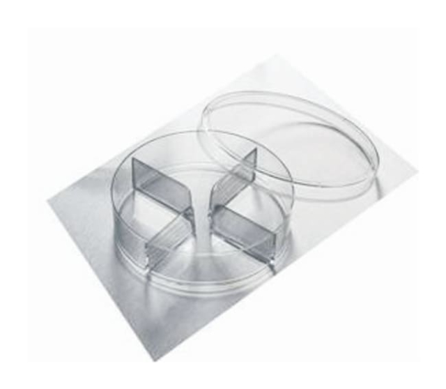 Corning&amp;trade;&amp;nbsp;Boîtes de Petri de bio-agriculture 100 x 25 mm