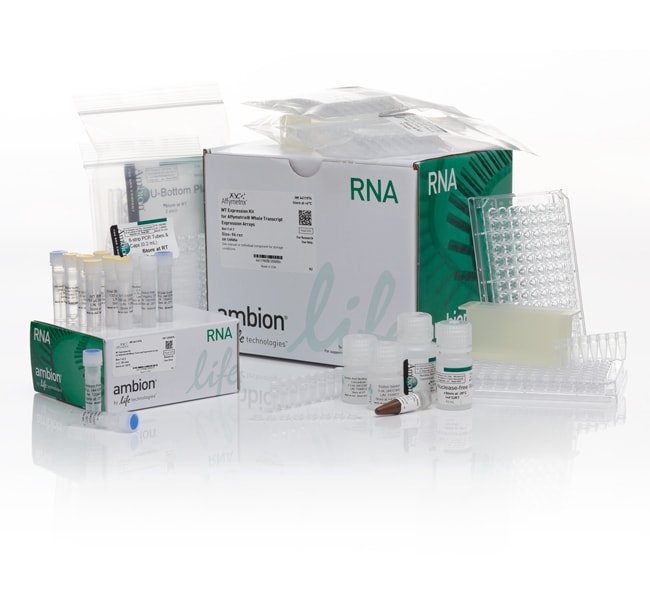 Invitrogen™ WT Expression Kit, high throughput