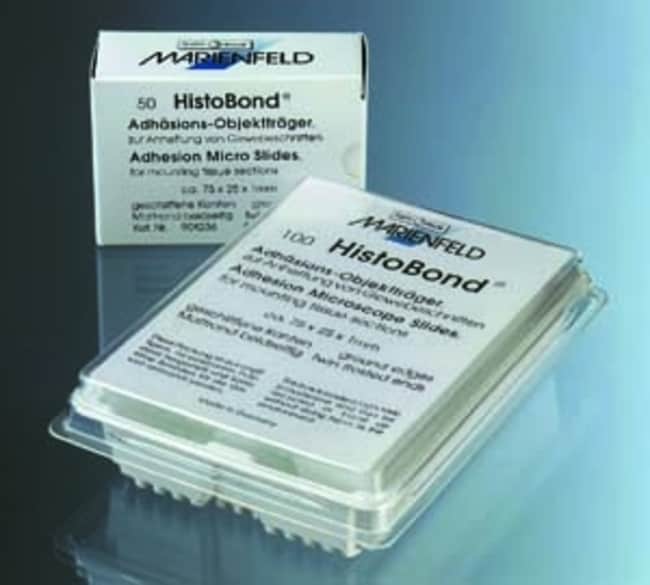 Marienfeld Superior&trade;&nbsp;Lames de microscope adhésives HistoBond&trade;