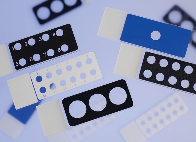 Epredia™ Lames de diagnostic Adcell™