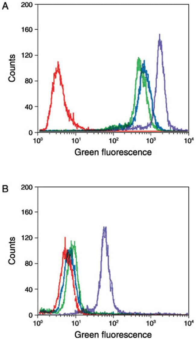 Invitrogen&trade;&nbsp;Molecular Probes&trade; TSA&trade; Kit 22, with HRP-Streptavidin and Alexa Fluor&trade; 488 Tyramide