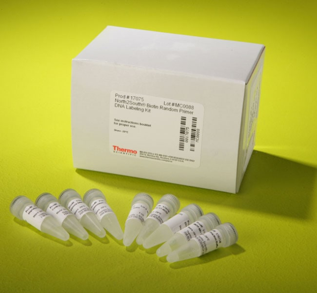 Thermo Scientific&amp;trade;&amp;nbsp;North2South&amp;trade; Biotin Random Prime DNA Labeling Kit