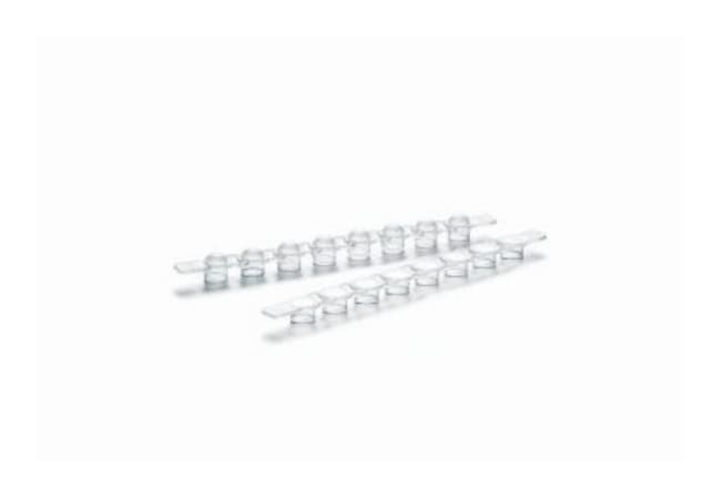 Eppendorf&trade;&nbsp;Bandes de capuchon PCR, bombées
