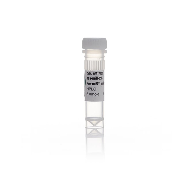 Ambion&trade;&nbsp;Pre-miR&trade; miRNA Precursor