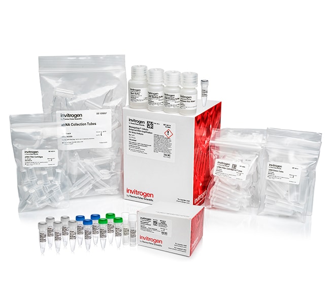 Invitrogen™ MessageAmp™ II-Biotin <i>Enhanced</i> aRNA Amplification Kit
