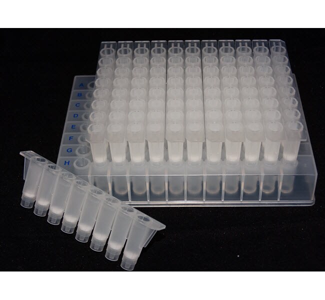Applied Biosystems&trade;&nbsp;MicroSEQ&trade; ID <i>Ultra</i> Sequencing Clean-up 8-Strips Refill Kit
