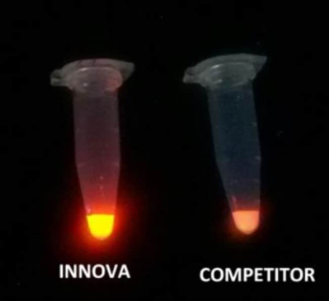 Novus Biologicals™ Europium Streptavidin MIDI