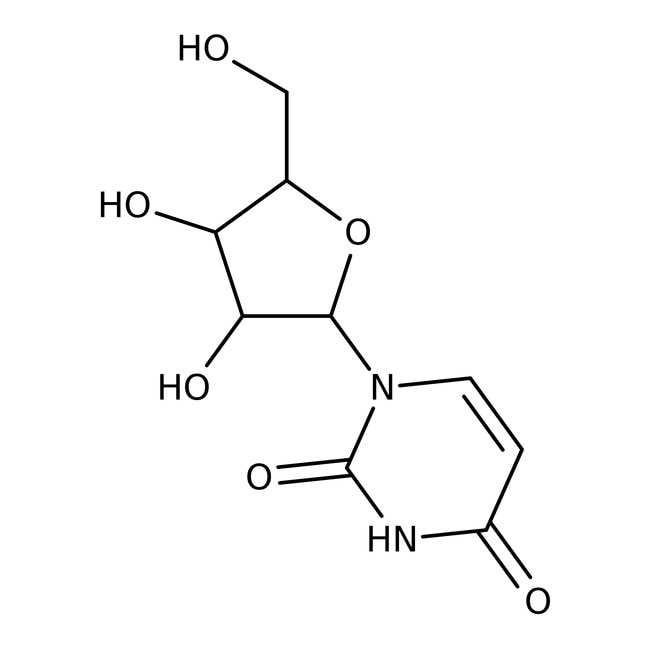 Thermo Scientific Chemicals&nbsp;Uridine, 99 %