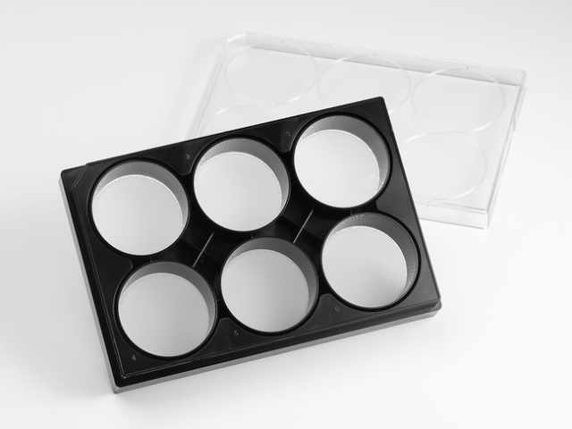 Corning&amp;trade;&amp;nbsp;Plaques à microcavités Elplasia&amp;trade;