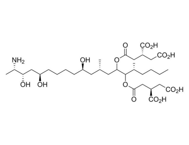 STEMCELL Technologies&amp;nbsp;Fumonisin B1