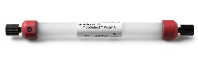Cytiva&nbsp;Colonne HiScreen MabSelect PrismA