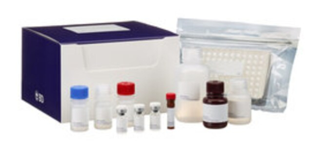 BD&amp;nbsp;Kit II ELISA pour C5a humain