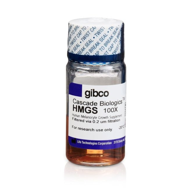 Gibco&trade;&nbsp;Human Melanocyte Growth Supplement (HMGS)