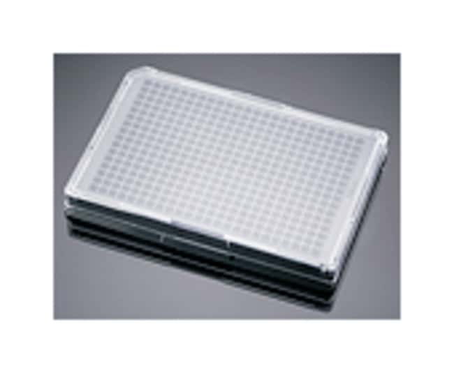Corning™ Plaques multipuits poly-D-lysine BioCoattrade;
