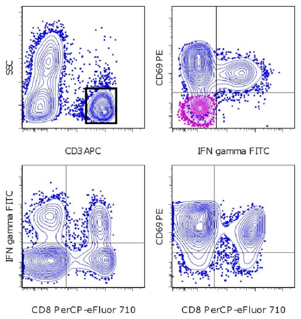 Invitrogen&amp;trade;&amp;nbsp;Kit de cytokine intracellulaire de sang total et activation 1 de la CD8 eBioscience&amp;trade; eZKine&amp;trade;