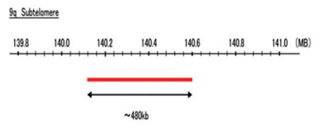 Abnova&amp;trade;&amp;nbsp;Sonde FISH 9q subtélomère (DEAC)